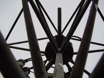 Senster-1-21