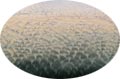 patterns in the sand
